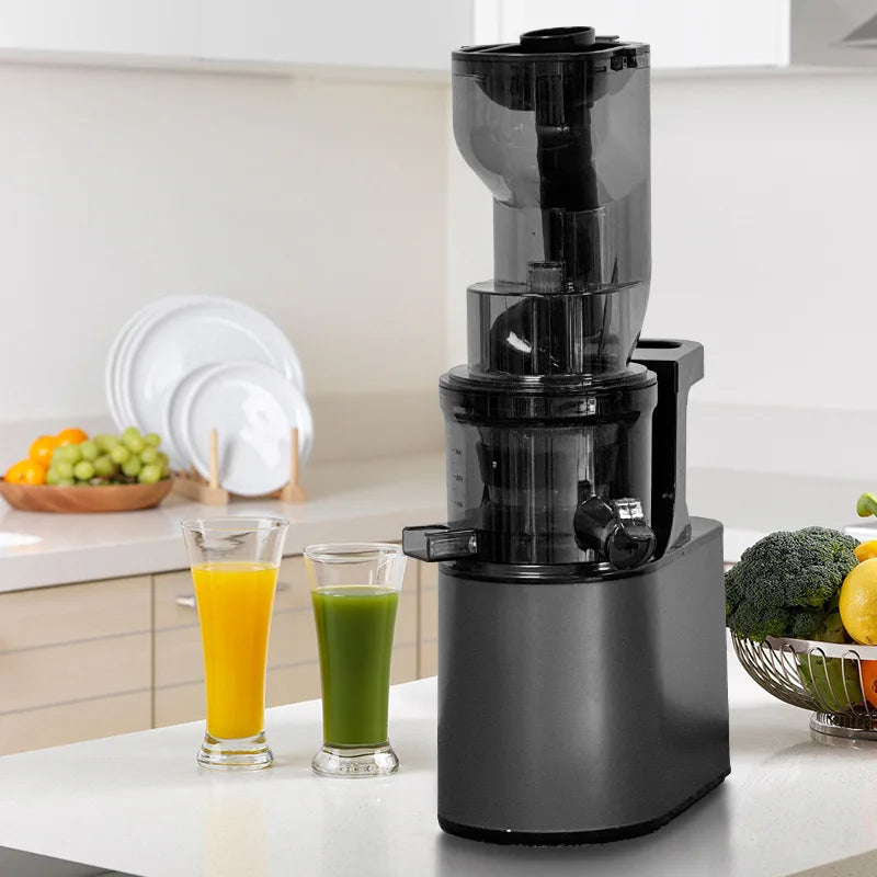 DailyJuice Pro – 2L Slow Juicer