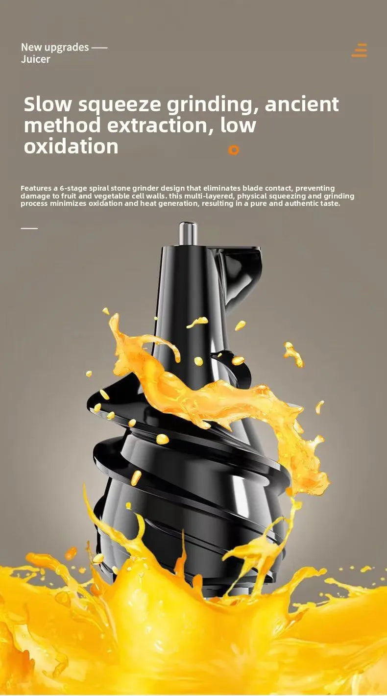 DailyJuice Pro – 2L Slow Juicer