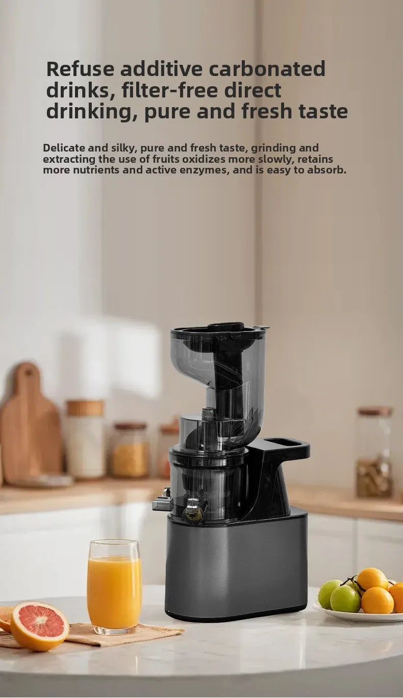 DailyJuice Pro – 2L Slow Juicer