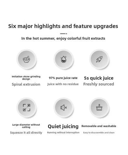 DailyJuice Pro – 2L Slow Juicer