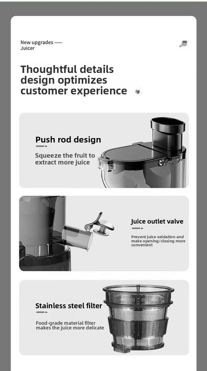 DailyJuice Pro – 2L Slow Juicer