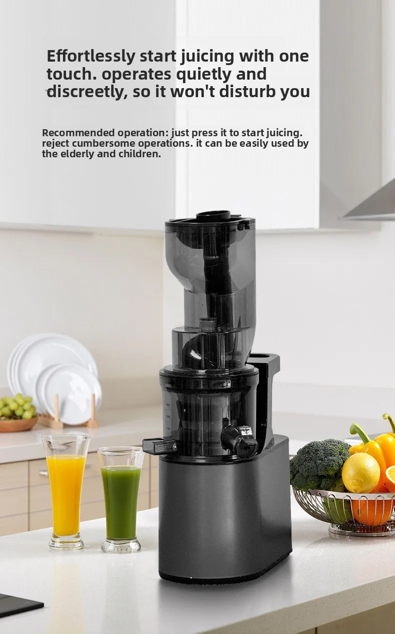 DailyJuice Pro – 2L Slow Juicer