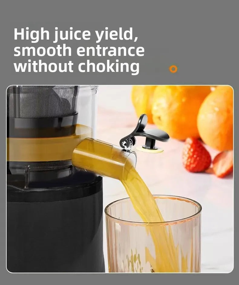 DailyJuice Pro – 2L Slow Juicer
