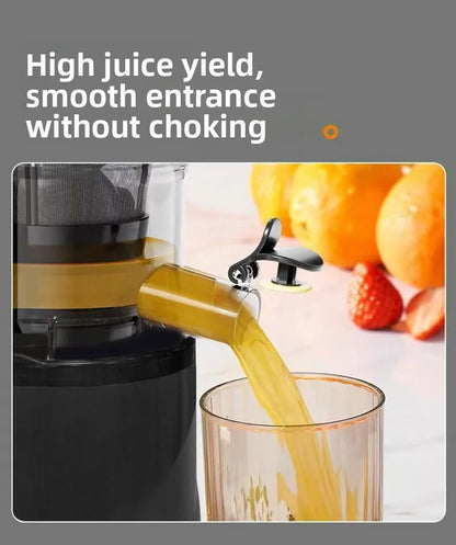 DailyJuice Pro – 2L Slow Juicer