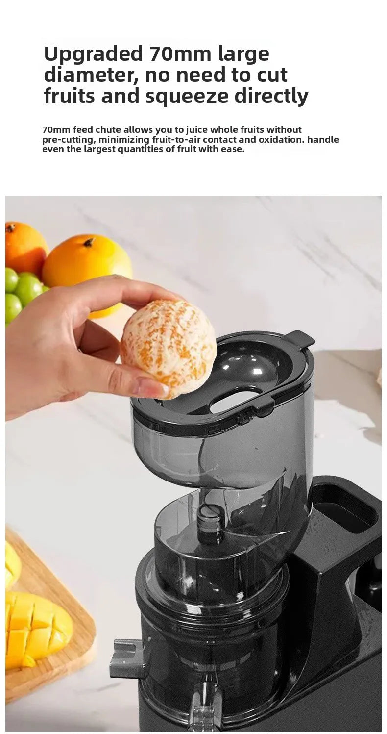 DailyJuice Pro – 2L Slow Juicer