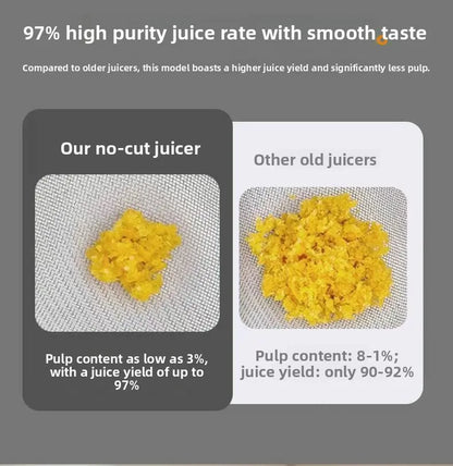 DailyJuice Pro – 2L Slow Juicer