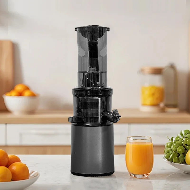 DailyJuice Pro – 2L Slow Juicer