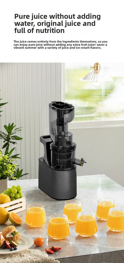 DailyJuice Pro – 2L Slow Juicer