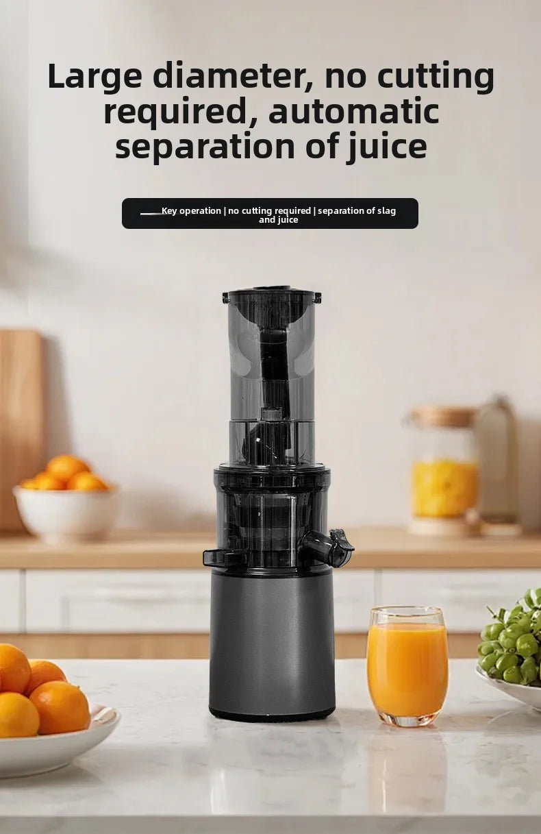 DailyJuice Pro – 2L Slow Juicer