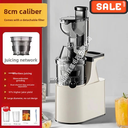 DailyJuice Pro – 2L Slow Juicer